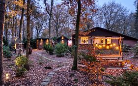 Lodge In Een Bosrijke Omgeving Met Hottub & Sauna Opt