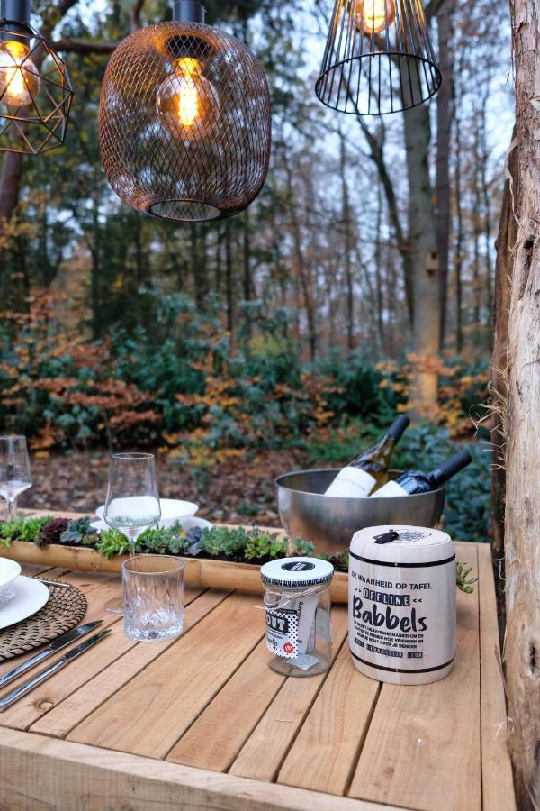 Lodge In Een Bosrijke Omgeving Met Hottub & Sauna Opt Rheezerveen Exterior foto